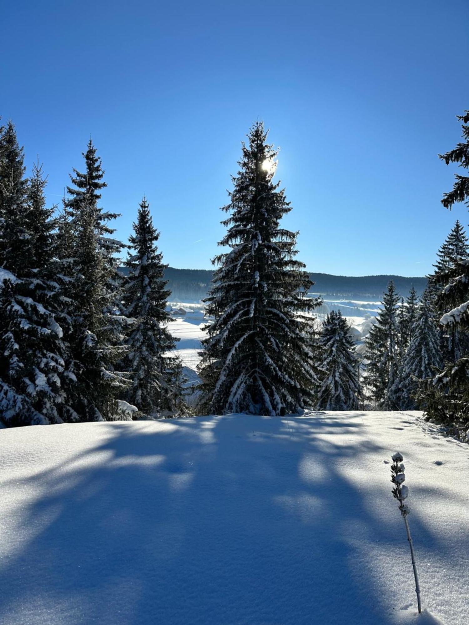 Le Belvedere Des Deux Lacs Le Brey et Maison du Bois Esterno foto