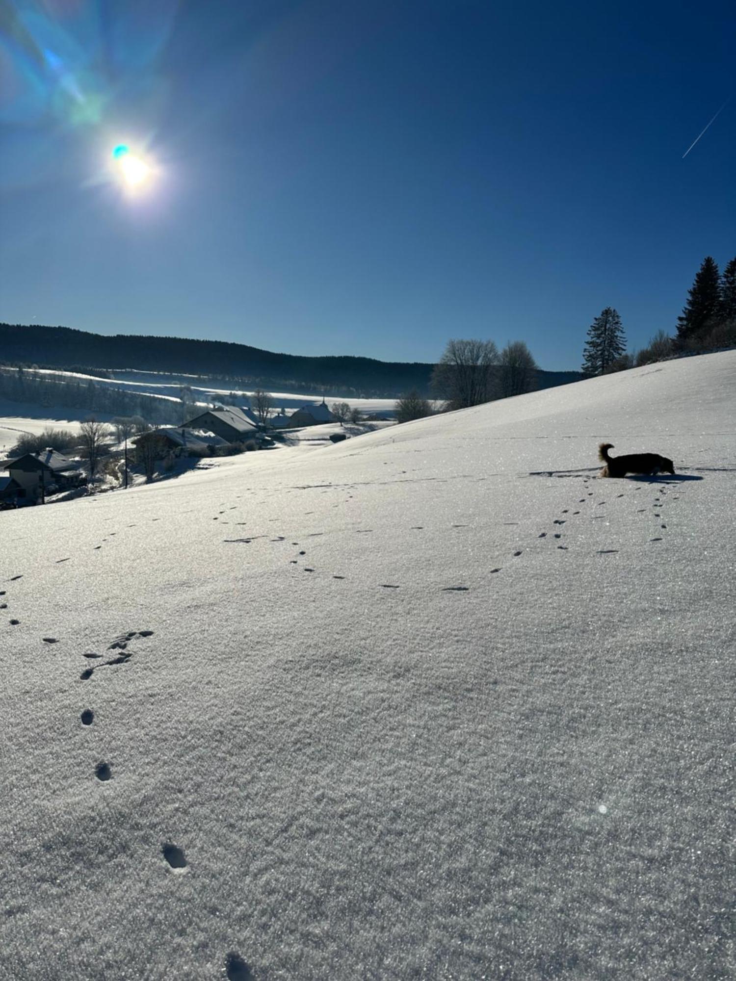 Le Belvedere Des Deux Lacs Le Brey et Maison du Bois Esterno foto